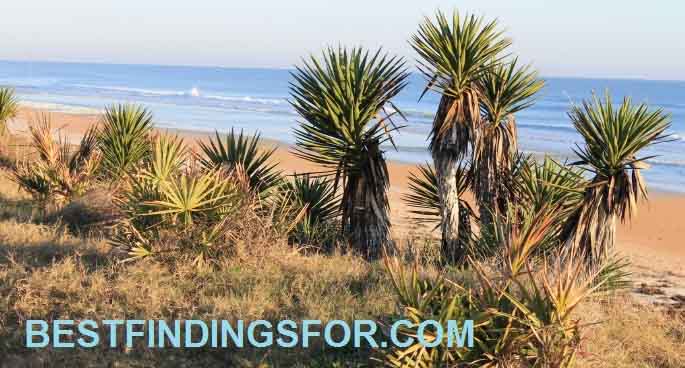 bestfindingsfor 